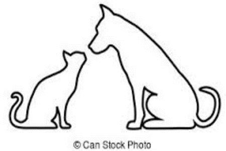 Cat vs. Dogs