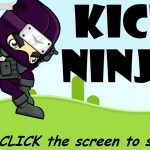 Kick Ninja